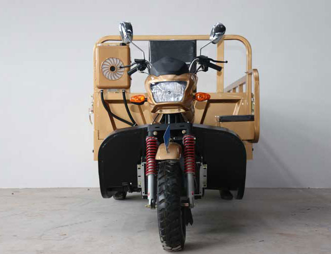 2-Meters-Length-Cargo-Box-Tricycle-Motorized-Tricycle-with-Wide-Pedal-and-Copilot-Seat