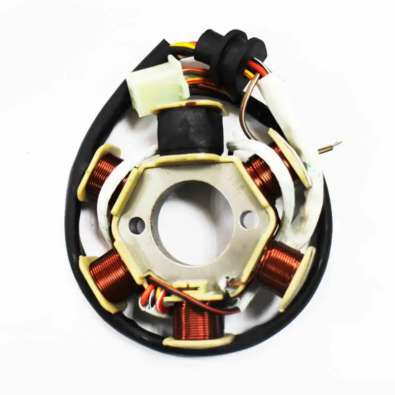 TVS-6-magnetic-motor-coil