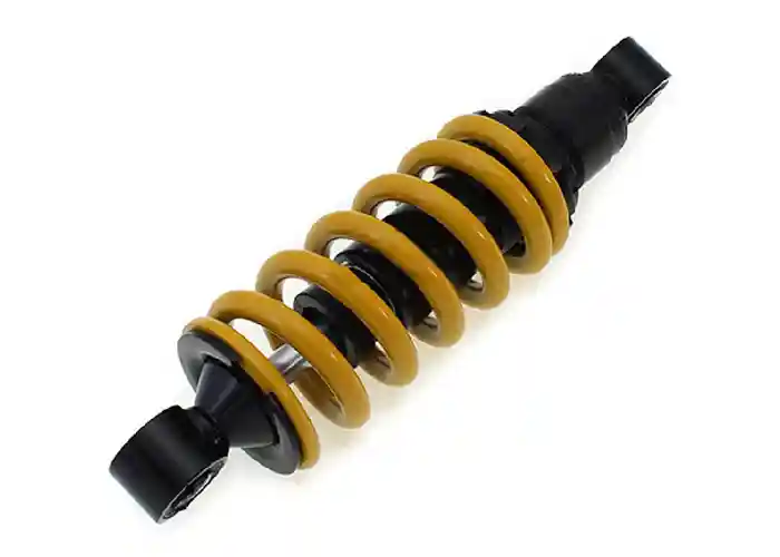 Motorcycle Air Suspension