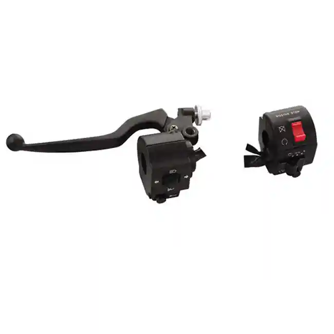 motorcycle Switch Assembly